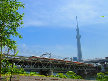 男やもめにウジが湧く。tukarebotuchiのブログ