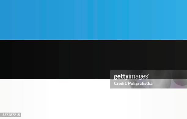 TOSPA 世界の国旗 エストニア国旗 70×105ｃｍ国旗・アルミ合金ポール・取付部品セット- トスパ世界の国旗販売ショップ