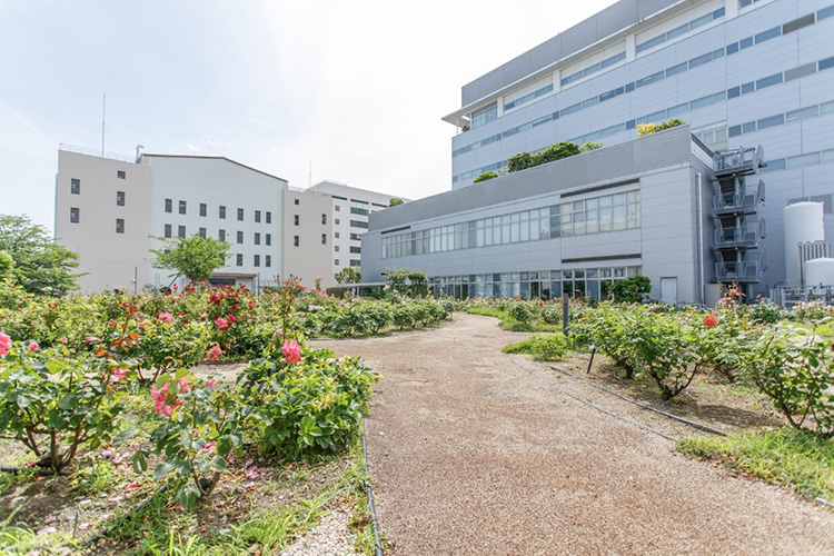 大阪夜景案内 三井住友銀行大阪本店ビルのライトアップ