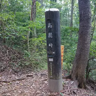 武蔵横手駅～日和田山～高麗峠～駐車場としさんさんの天覧山・多峯主山・天覚山の活動データYAMAPヤマップ