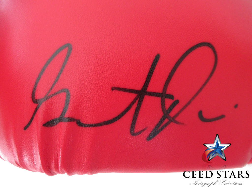 ジャーボンタ・デービスの破壊力