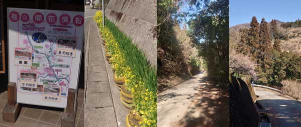 ナス畑、終わり『大畠酒造』の気まぐれ日記♪