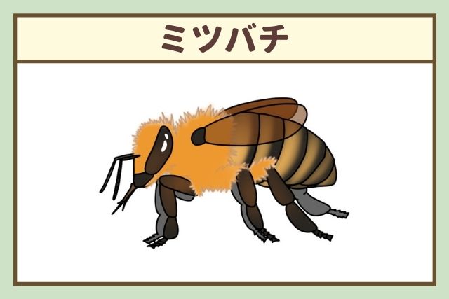 どんな困った犬もこれで大丈夫! 体罰ゼロのポチパパ流 犬のしつけ大全北村 紋義 本通販Amazon