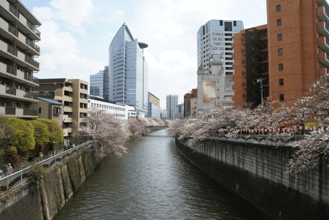 代々木上原の住みやすさは？高級住宅街なのに人気の秘訣をご紹介