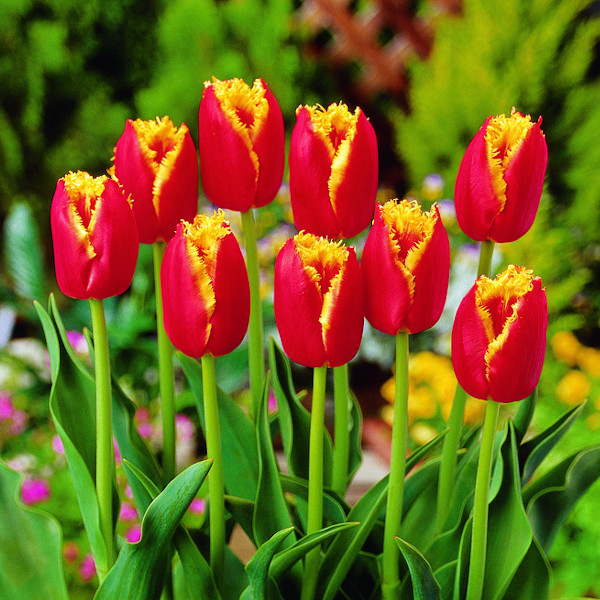 英国クラシックヴィンテージ ダベンポートデスク – TIME HYPE