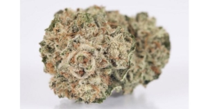 Gorilla4 × Lilly 大麻の種子 - Expert Seeds