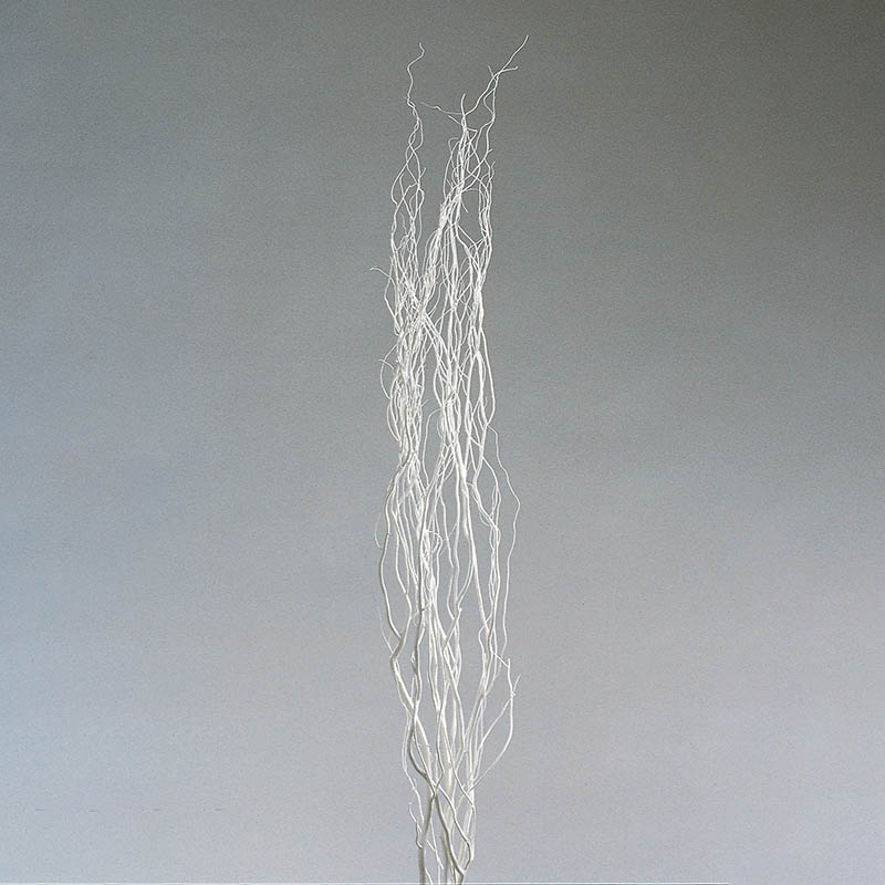 造花・冬・正月 ヤナギエダ・やなぎ・柳・柳枝アートフラワー175 : アクセソワール - 通販 - Yahoo!ショッピング