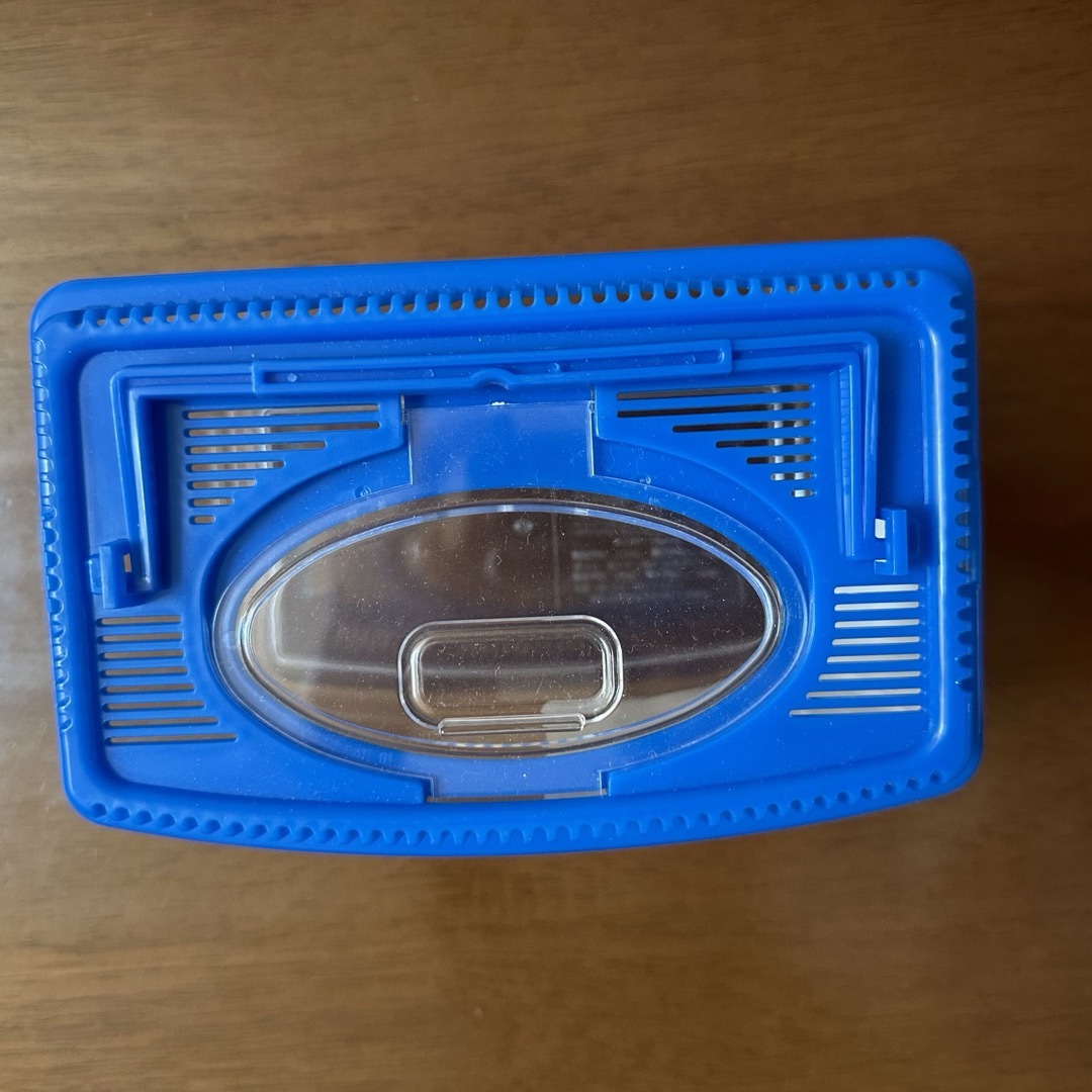 ダイソー 持ち運びもラクラク◎シンプルな虫かごとあみぐうたら主婦みちゅオフィシャルブログ Powered by Ameba