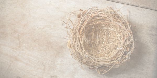 計画性のない生き方をした代償キャリア・職場発言小町