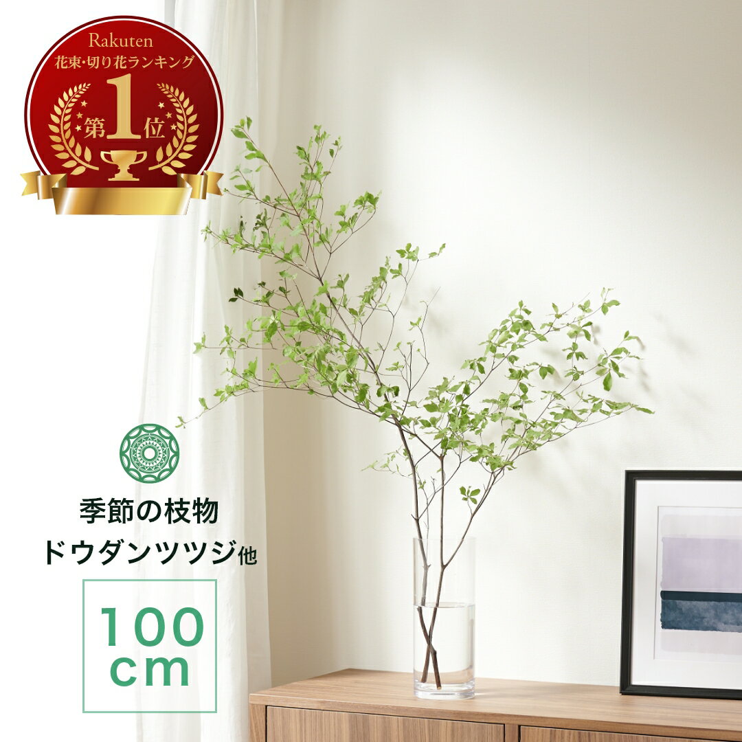 ドライ花材 うんりゅう柳 ホワイトお花の通販AND PLANTSアンドプランツ