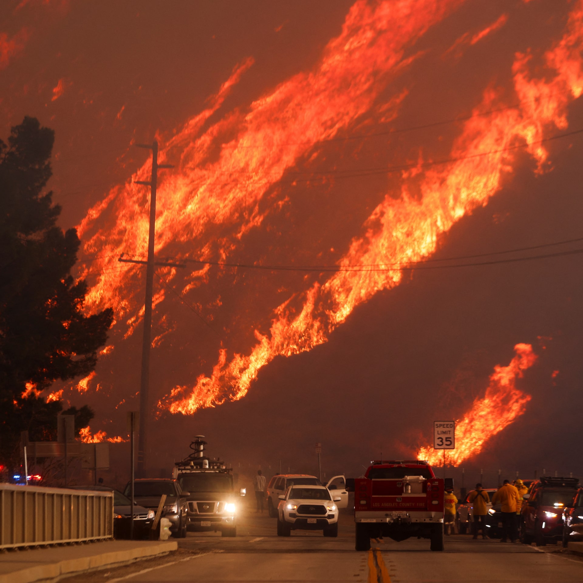 ロサンゼルス山火事5人死亡、1000棟焼失 8万人に避難命令 - 琉球新報デジタル