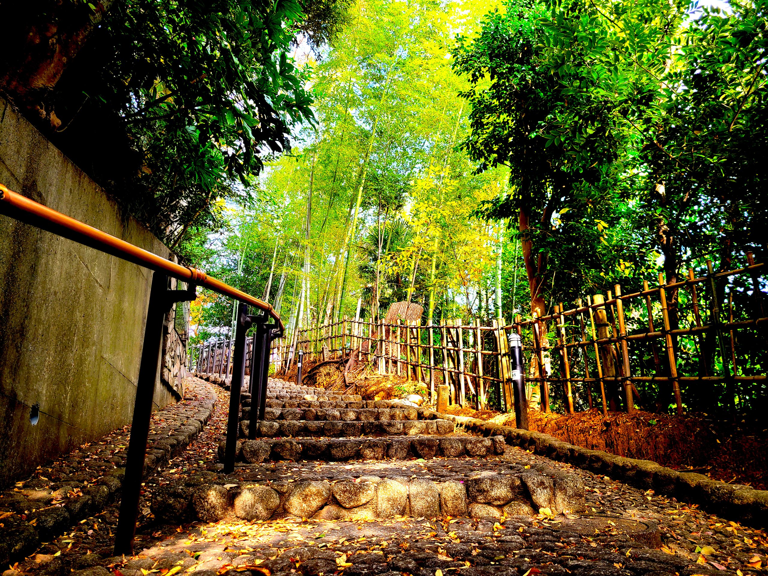 我孫子市公式 千葉県移住・二地域居住ポータルサイト