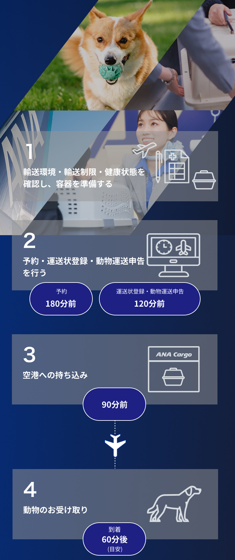 物流業界で輸送手段として飛行機が用いられる理由その他運送物流業情報ラボ法人保険ラボ
