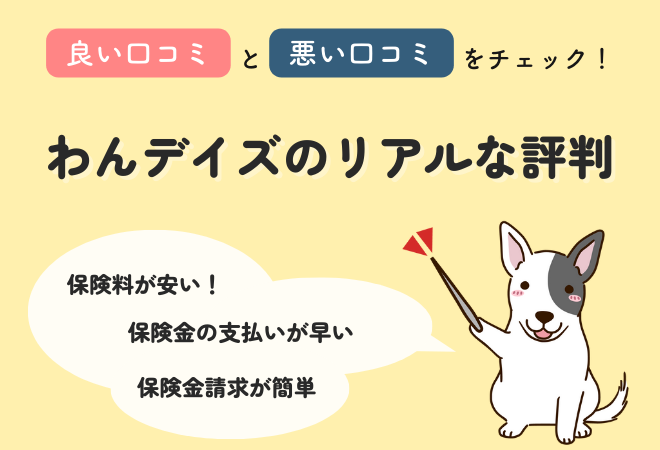 リトルファミリー少額短期保険『わんデイズ・にゃんデイズ』の口コミ評判！メリットとデメリットや特徴は？INUNAVI いぬなび