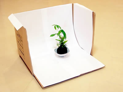 200円で激変！ プラモの写真映えが段違い！ダイソーアイテムと段ボールで作る「神コスパ撮影ブース 」徹底解説」プロモデラー林哲平＠見るだけでプラモが上手くなるnote