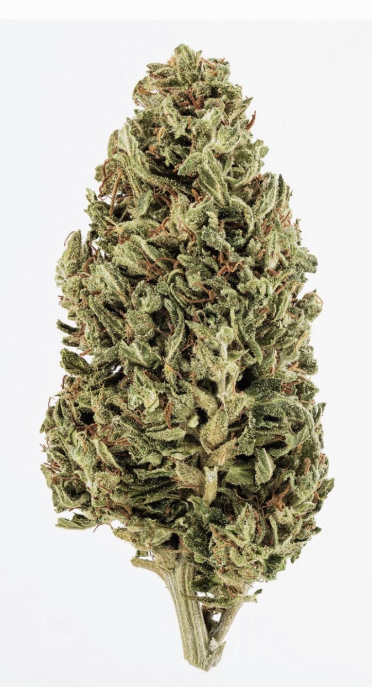 Cbweed ゴリラグルー CBD フラワー - 1 グラム