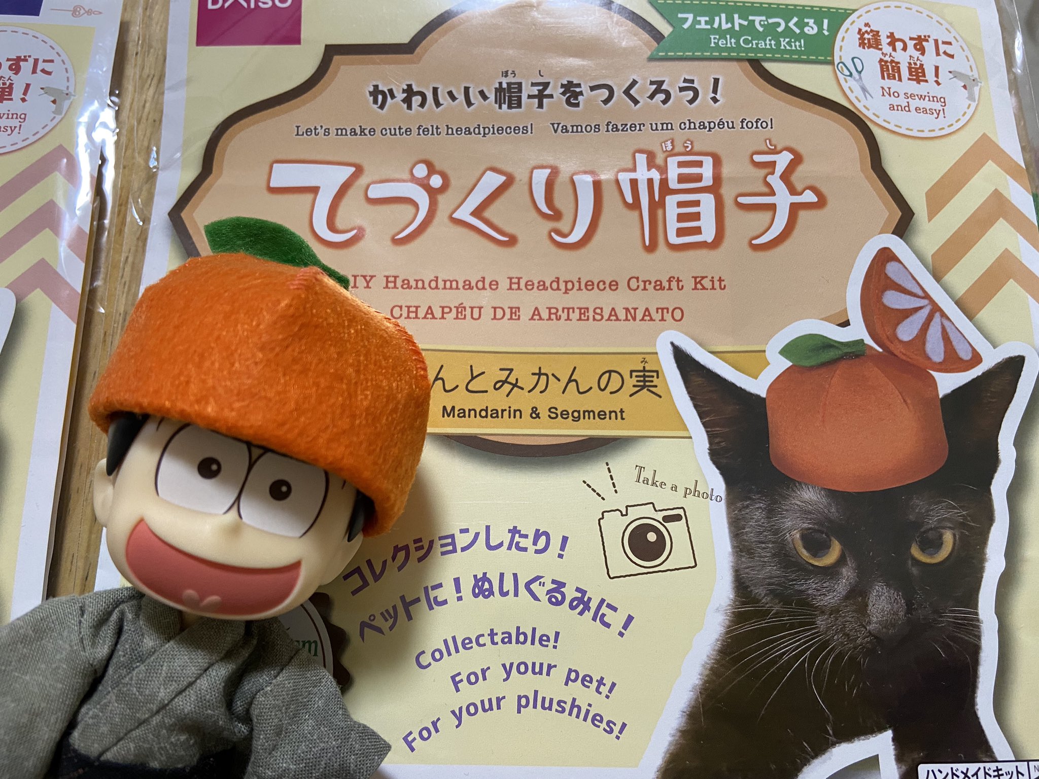 運転士さんの制帽砂漠の舟～小駝のブログ～