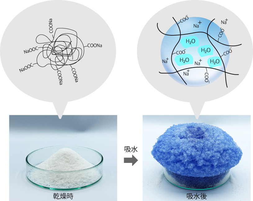 高吸水性樹脂で遊ぼうGelate ジェレイト