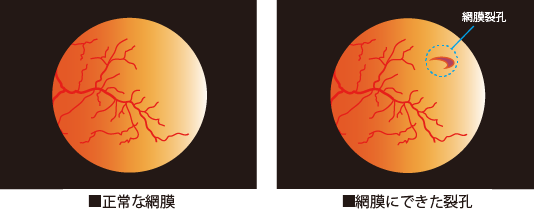 タイルの知識 押さえておきたいタイルの基本「目地について 前編 」タイル便
