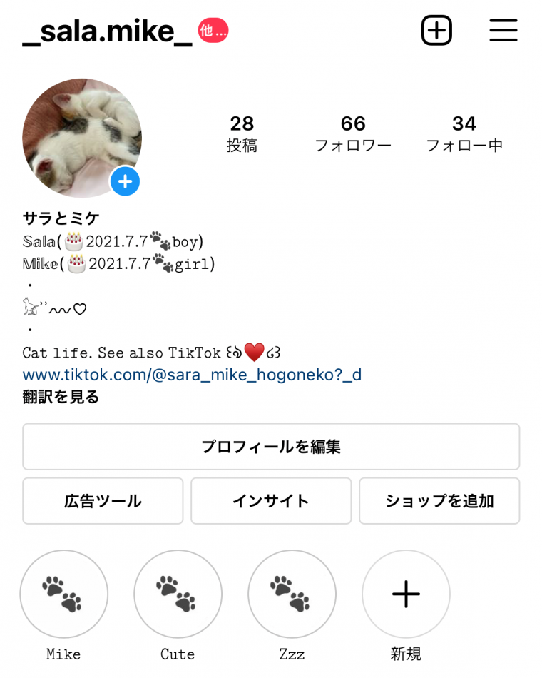 インスタで推し垢を始める方法！バズらせたい人のための基本ガイド - 知る見る！図鑑