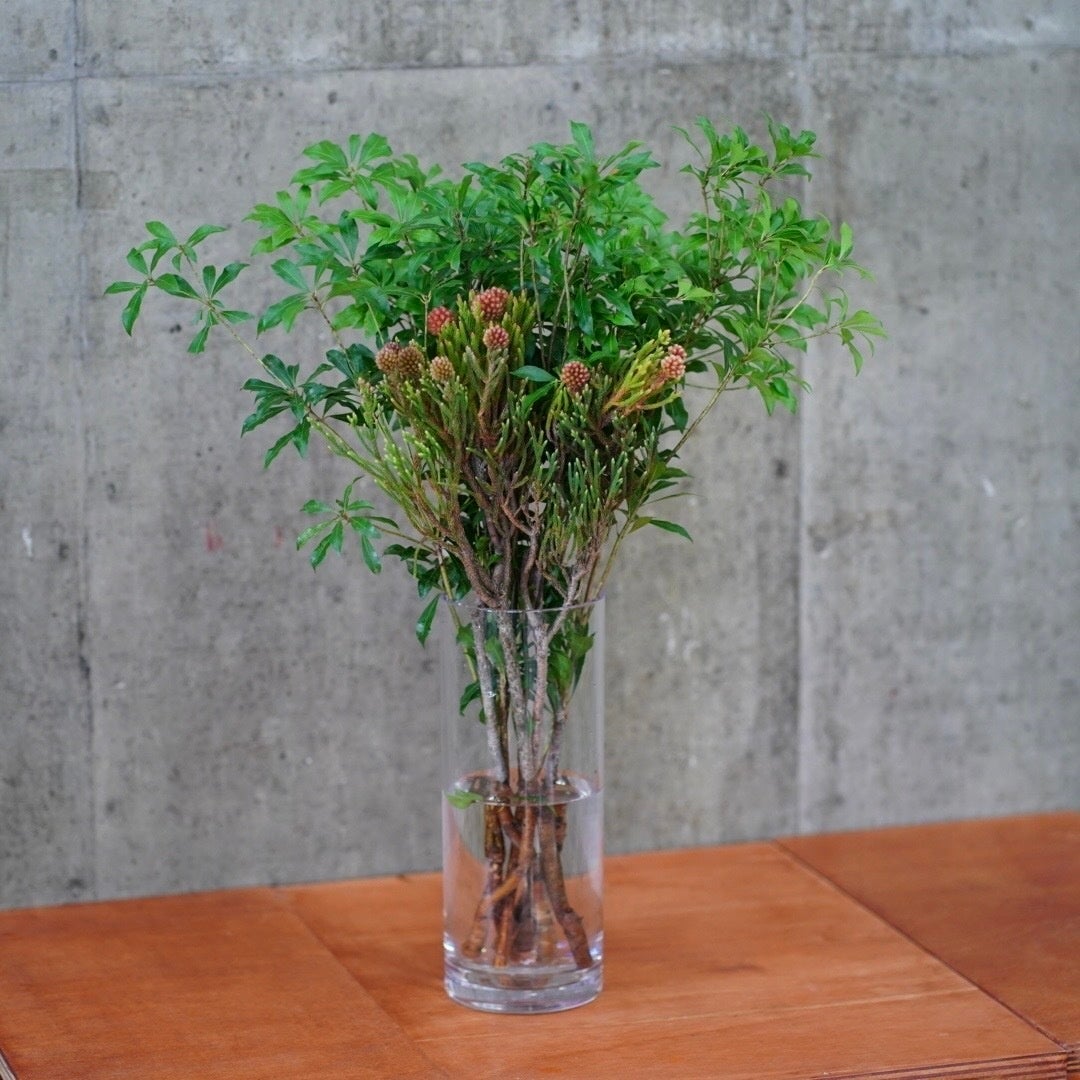 楽天市場 柳 の 枝の通販