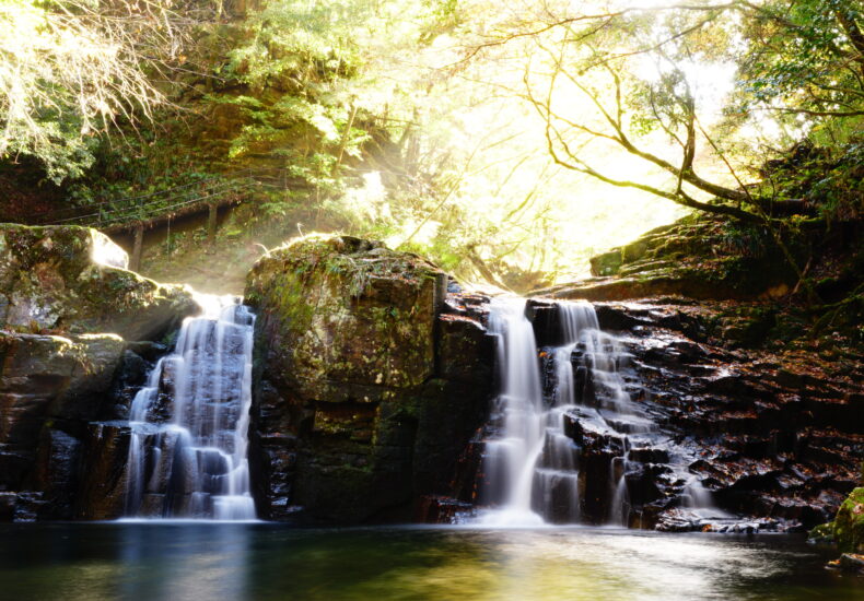而今 じこん日本酒 評価・通販 SAKETIME