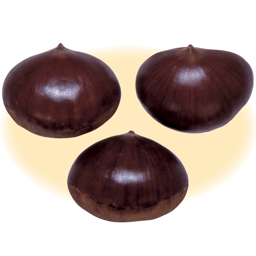 中古 ビルディバイド BB-BTR2-003SR SR ：重なる声 後藤ひとり - メルカリ