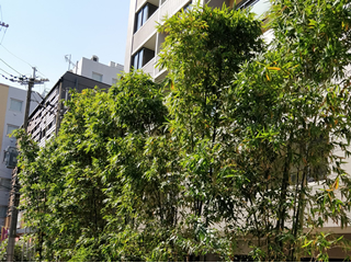 既存フェンスの解体処分工事とは？ - エクステリア工事キロ