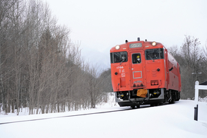Amazon.co.jp: 私たちの抜海駅: 最北木造無人駅に愛をこめて : 宗谷北線もりあげ隊: 本