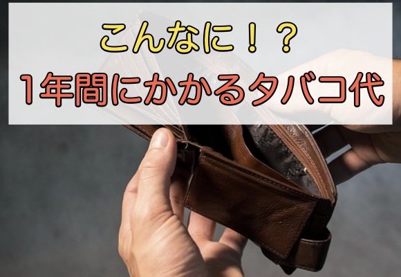 加熱式タバコ JT新型『プルーム・オーラ』と 新スティック『エボ』の組み合わせはうまいのか？ レビュー特選街web