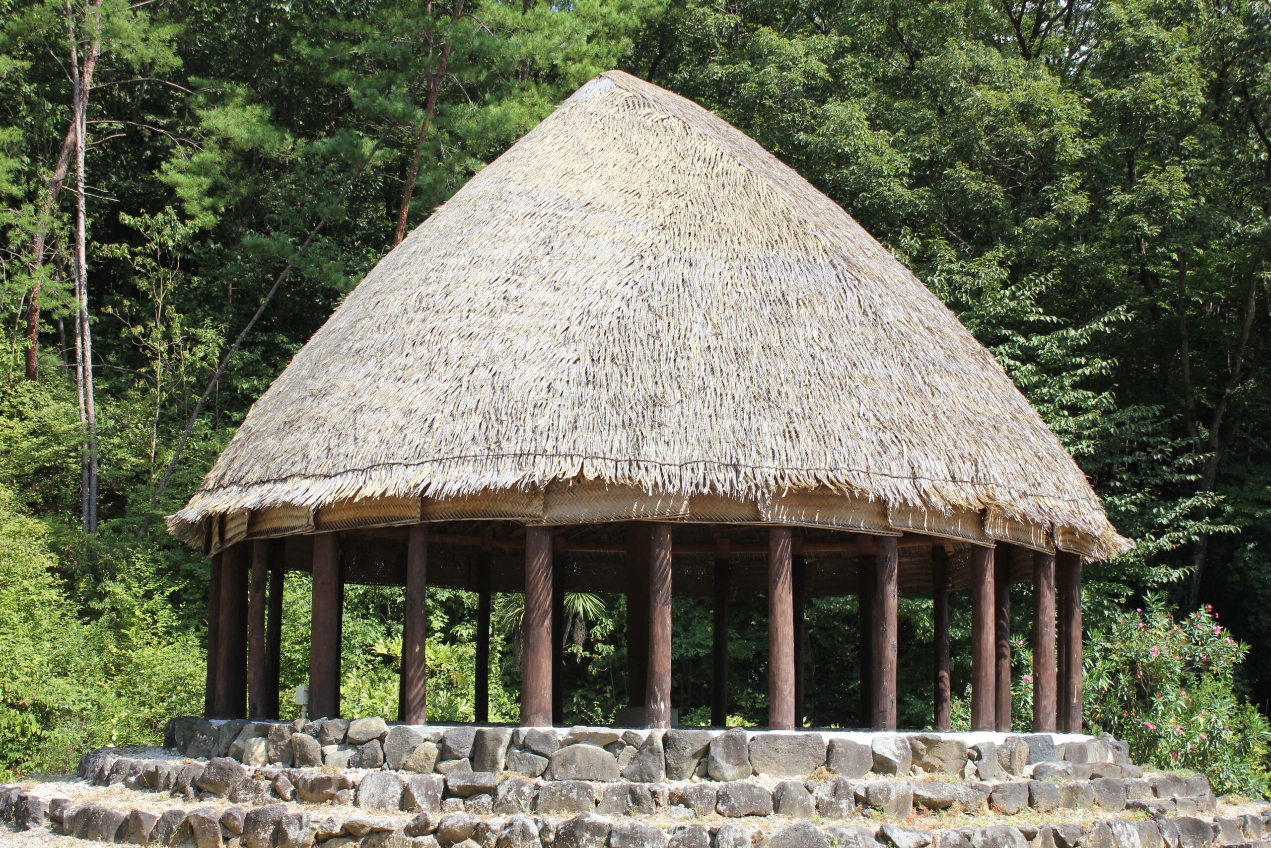 高1英語表現 Lesson9 分詞① Vision Quest赤城❤︎.*