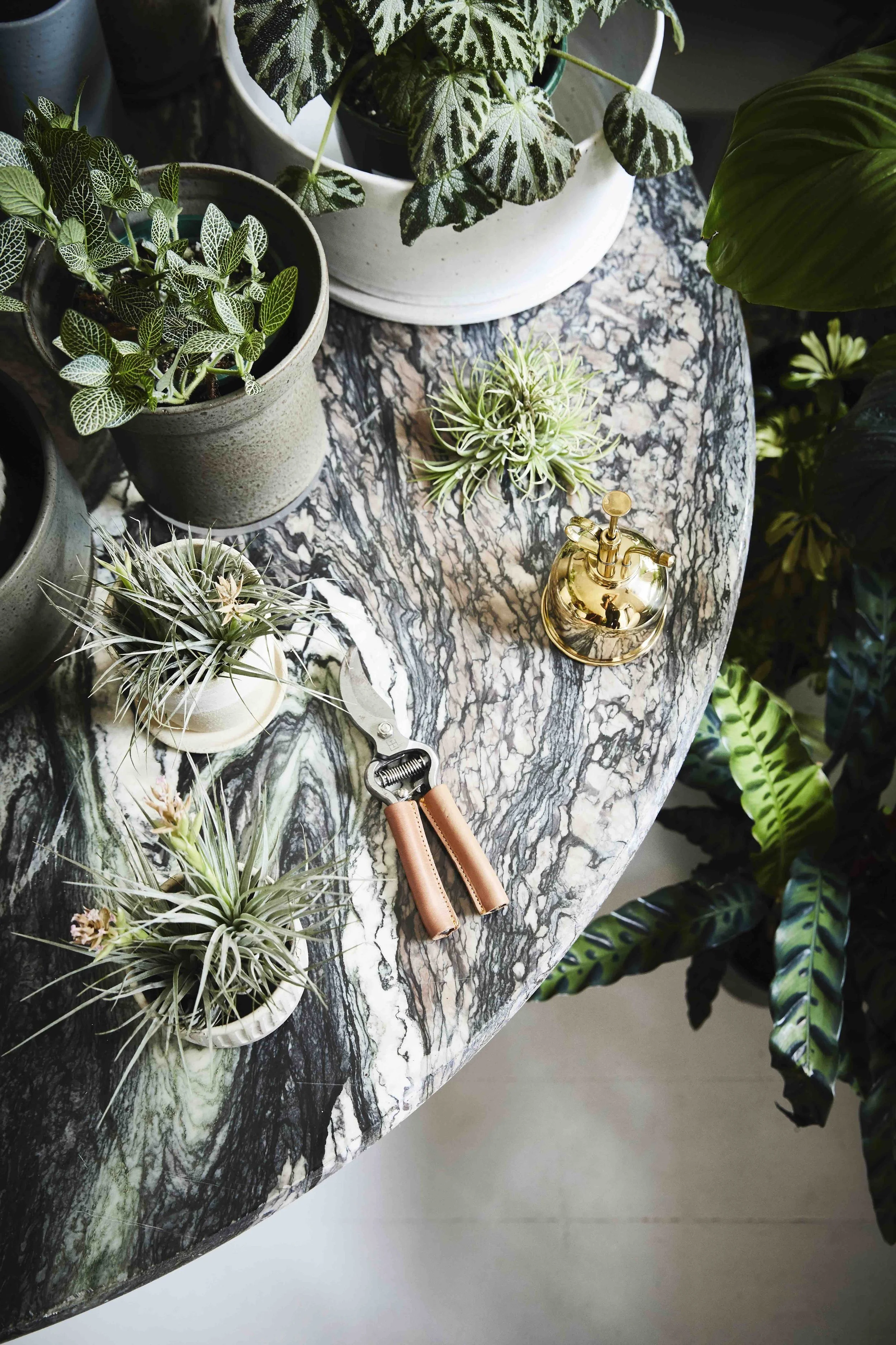 求人情報The Plant Society Tokyoがプラントアシスタントを募集 — IDREIT®interior designmagazine