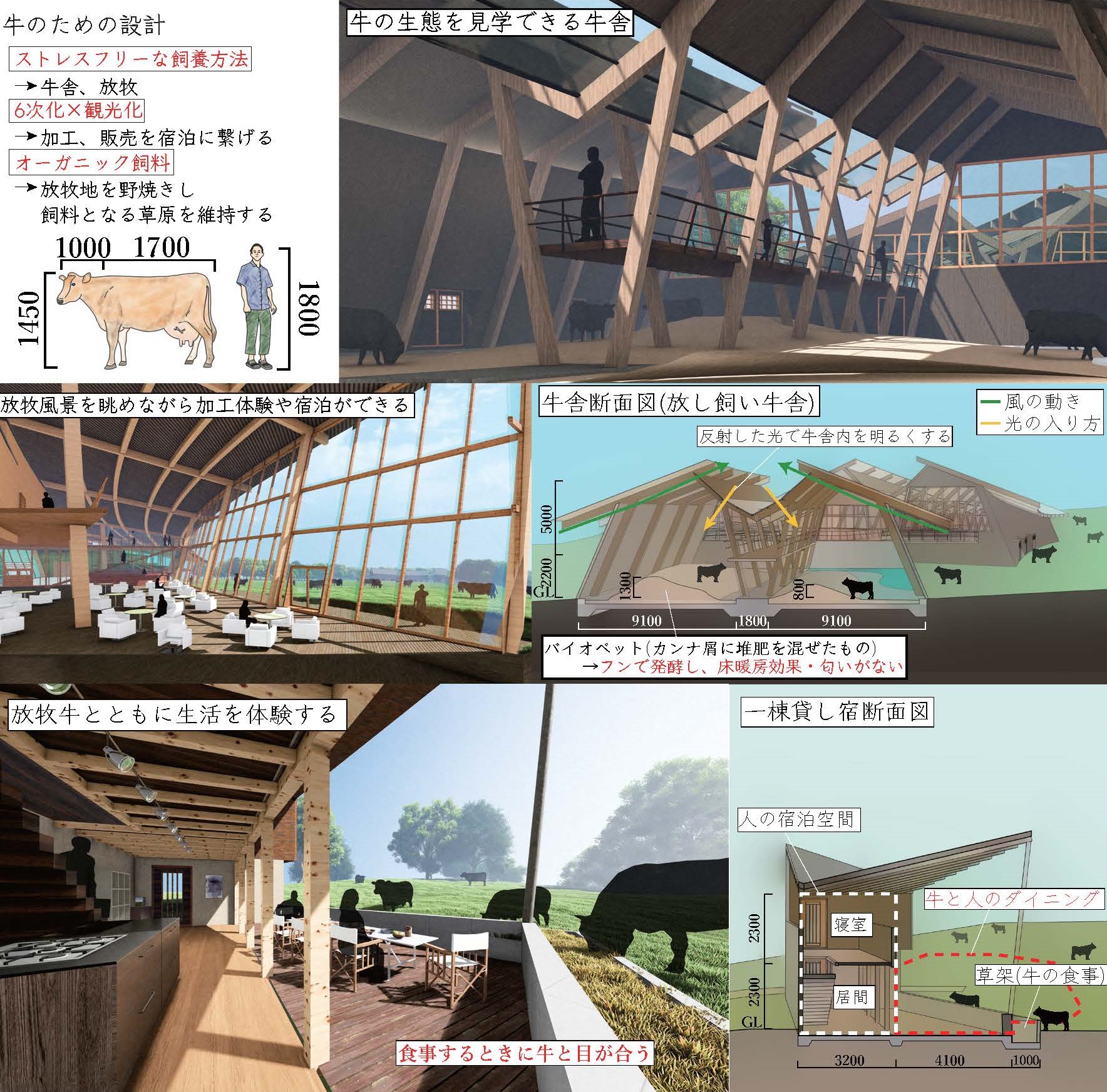 美大芸大就活ナビイケてる作品紹介