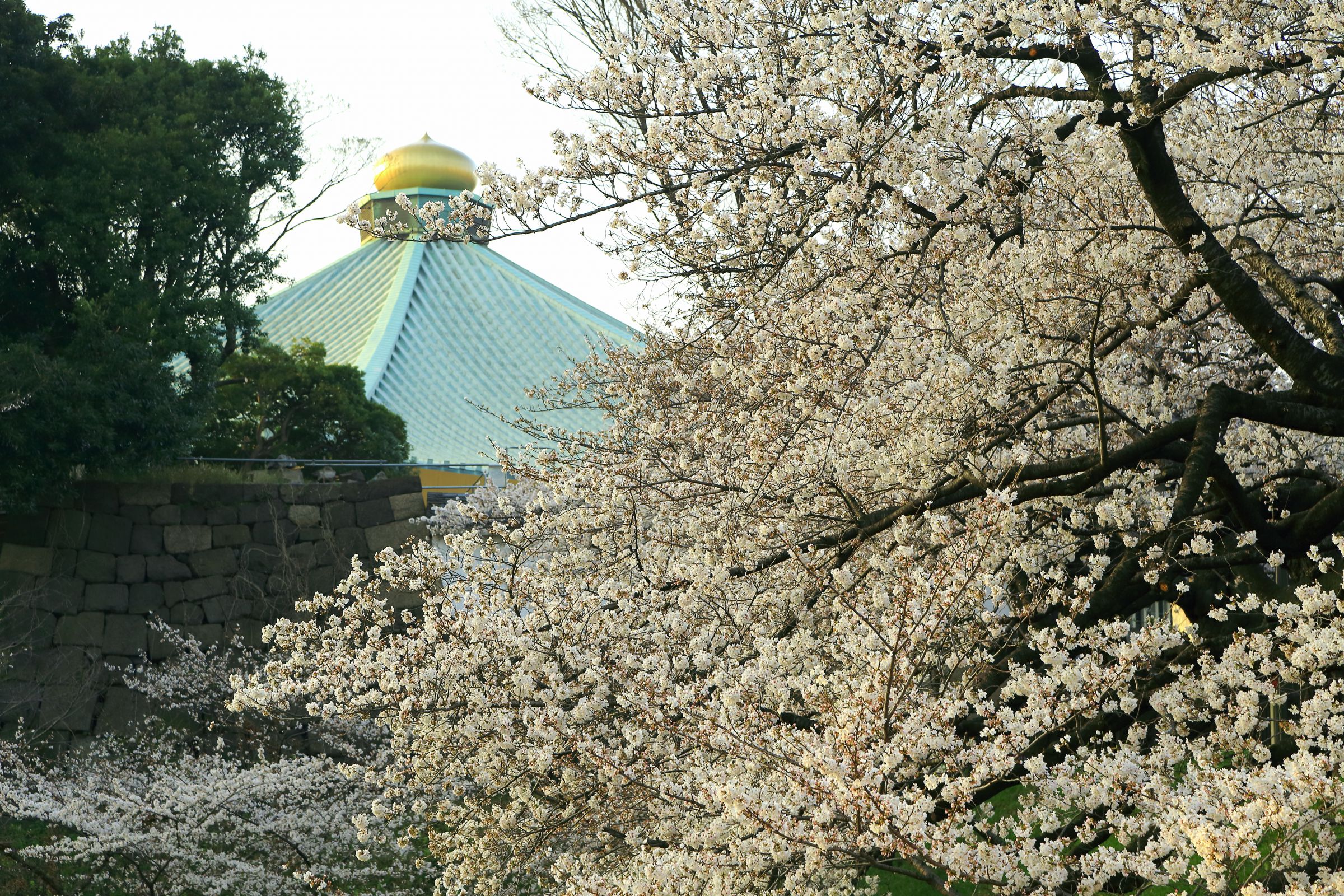 株式会社ゼンリン on X: 