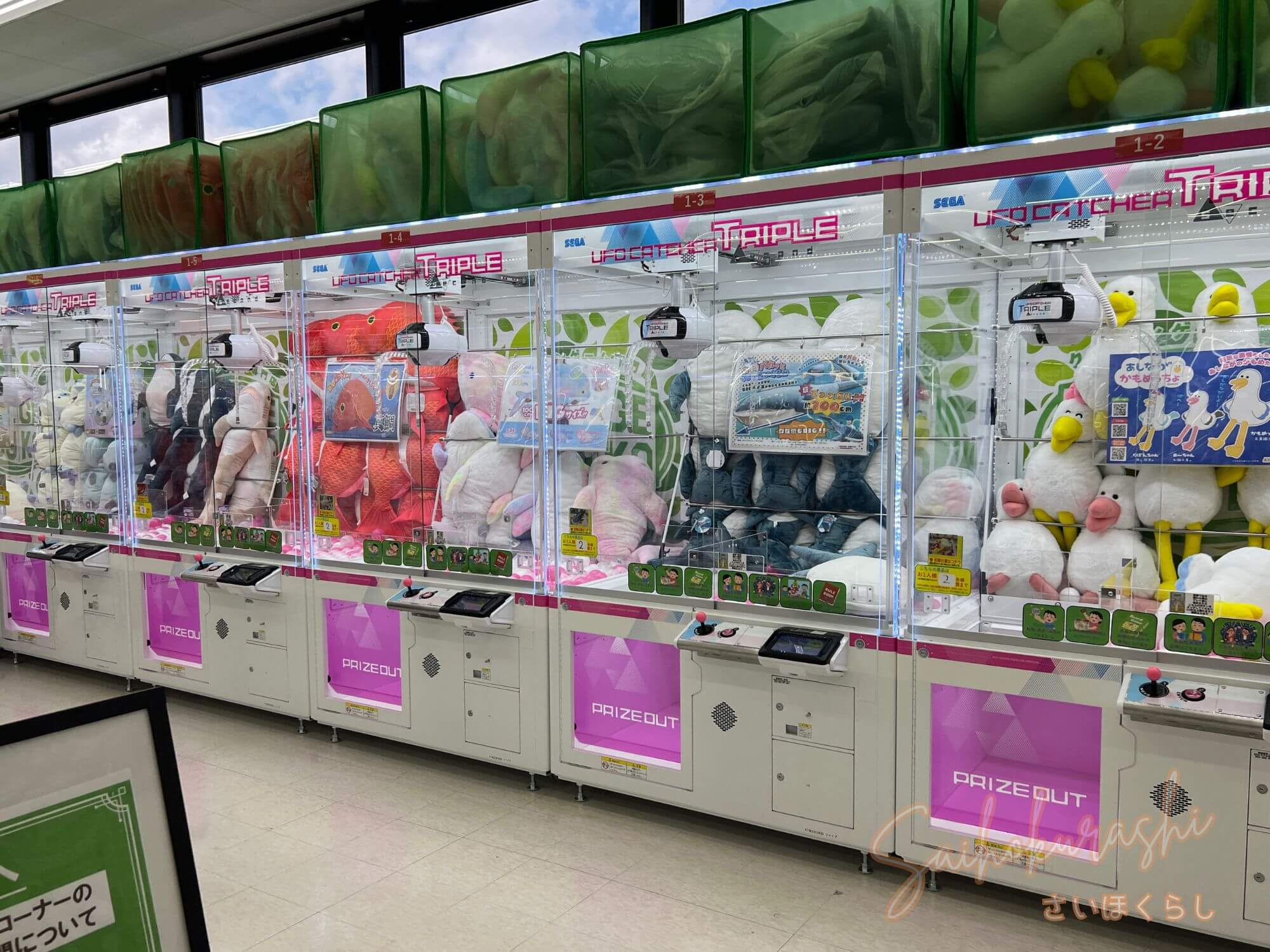 おでかけ クレゲ好き必見！本庄市にオープンした『クレゲ倉庫 本庄店 万代書店 』に行ってきた！ - さいほくらし-埼玉北部・群馬南部のローカルメディア