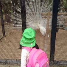 救急法 実技で県３位 多摩消防団の女性団員多摩区・麻生区タウンニュース