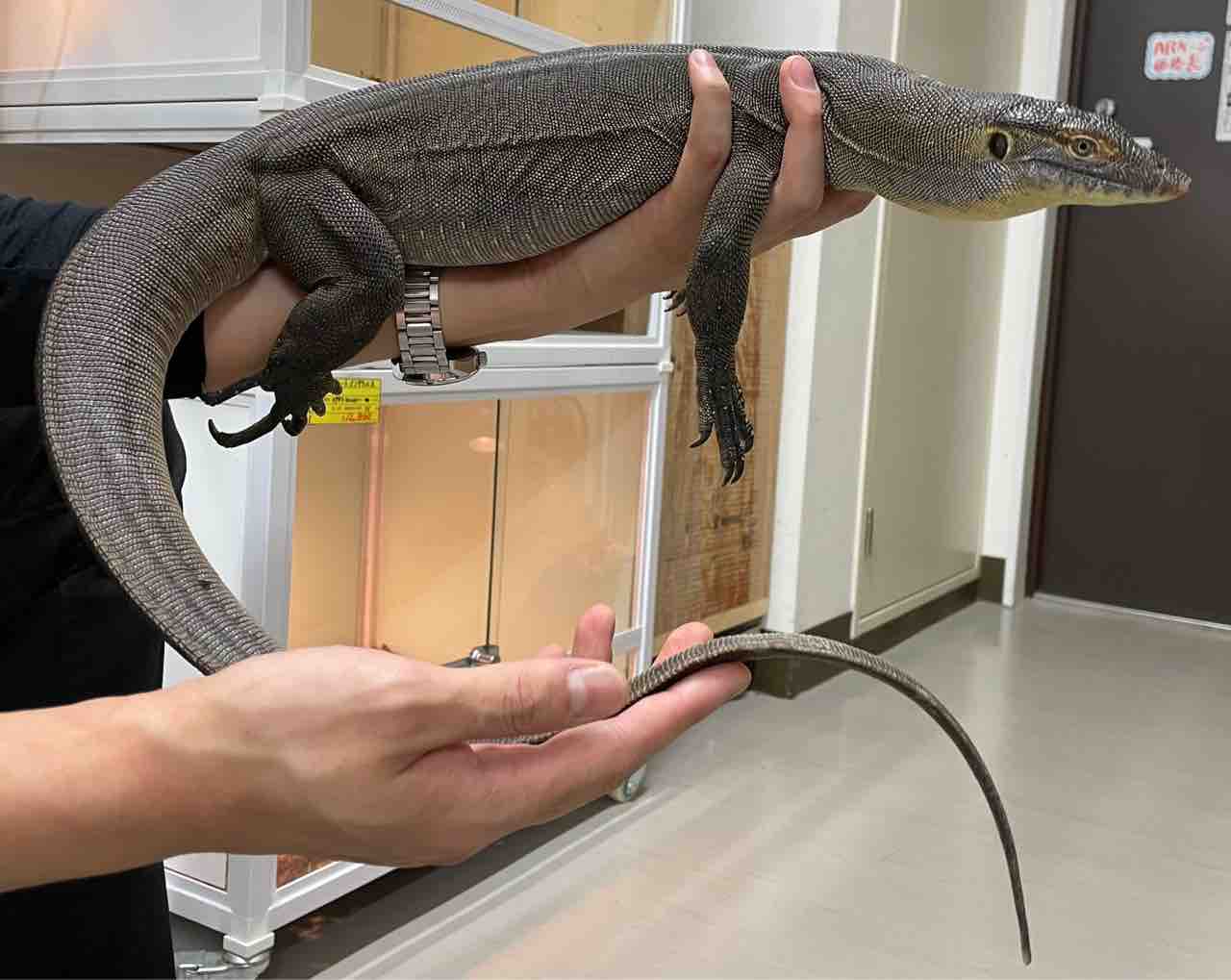 覚醒中のメルテンス、「おしっこ」セレブレーションが話題 Qoly サッカーニュース