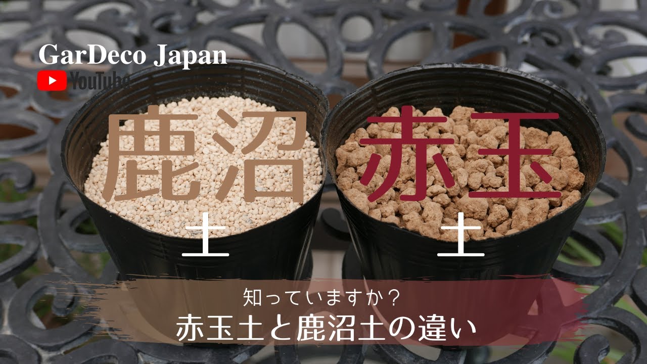 鹿沼土 かぬまつち とは？特徴や使い方を詳しく解説赤玉土との違いは？GOOFAM