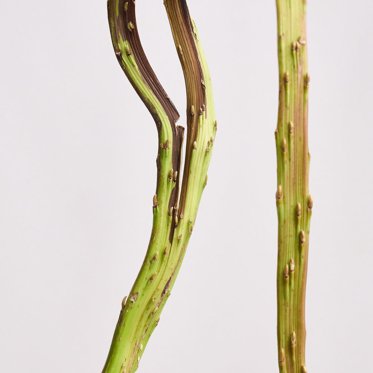 柳枝餅玉 繭玉 飾り1本 しめ縄・しめ飾り tomoemon 通販 15124339Creema クリーマ