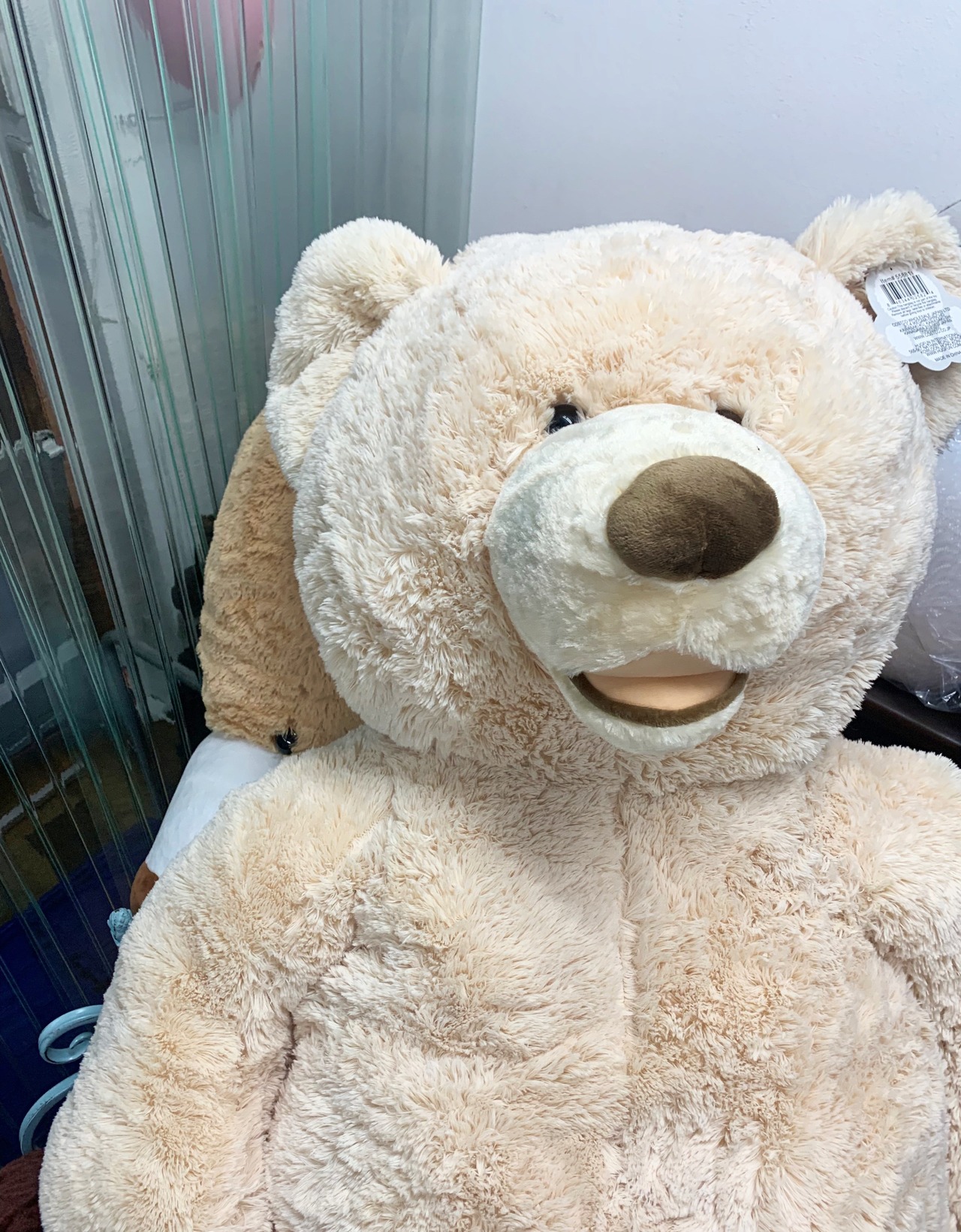 コストコ名物！クマのぬいぐるみの最大サイズは200cm以上！値段や販売時期は？イチオシichioshi