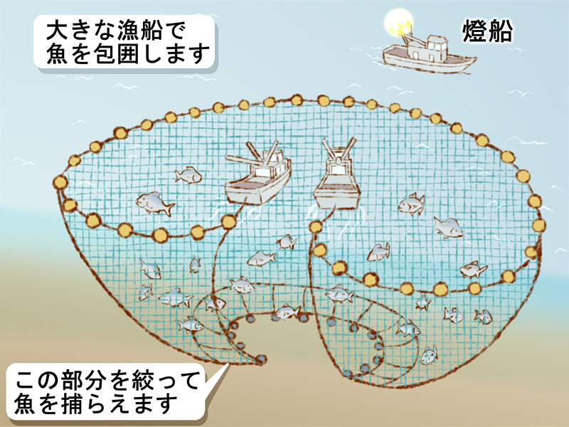 まき網Marine Stewardship Council