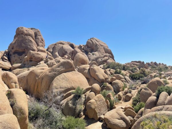 広告業界の転換期 2025年10月15日 水 19:30～ 渋谷で「広告代理店出身経営者＆CMO限定飲み会」開催～秋の夜に語り合う最新トレンドと人脈形成～めざましmedia“好き”でつながる