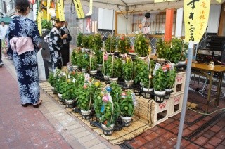 赤倉山荘 アクセス・営業時間・料金情報 - じゃらんnet