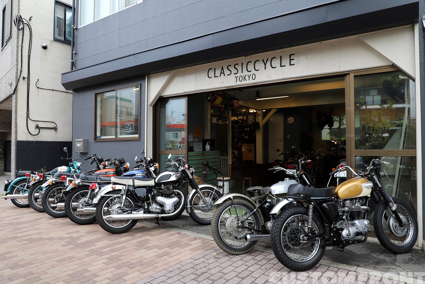 Schwinn ビンテージ 自転車 LIL TIGERglow ANTIQUES