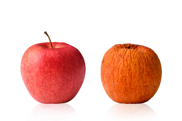 心理的安全性 半径5メートルから、チームを変えていく イベントレポート組織改善するならエンゲージメントサーベイ Wevox