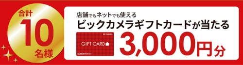 ビックカメラでJCBギフトカードは使えるか聞いて実際に利用した流れを写真つきで解説 - 金券なび