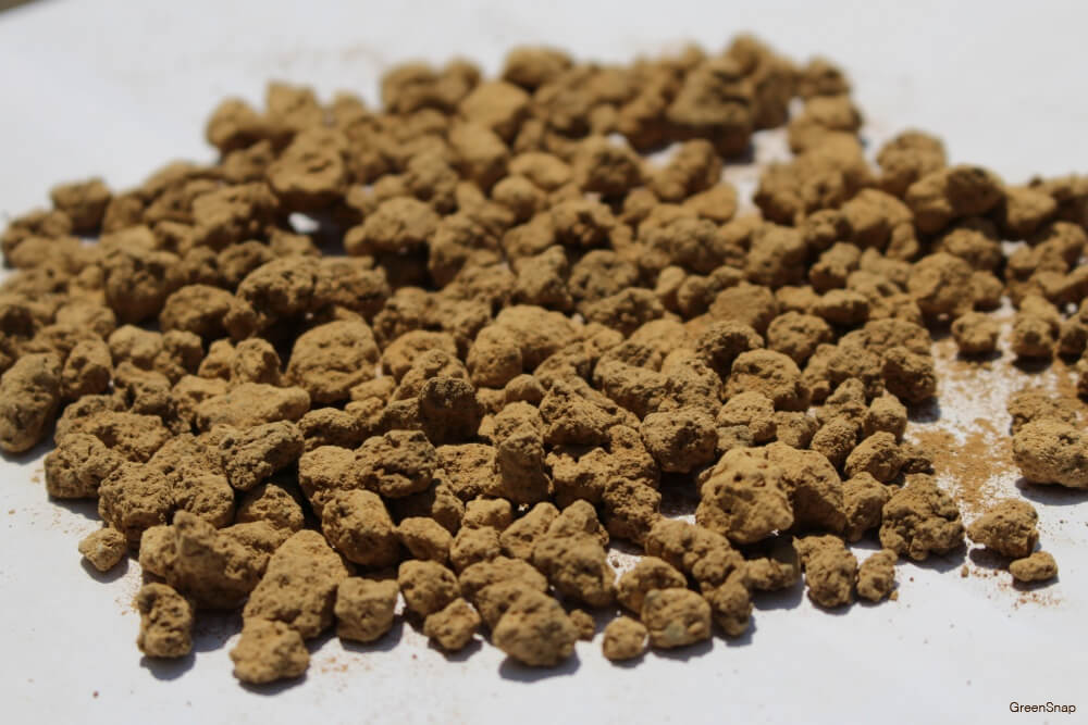 赤玉土とは使い方は？鹿沼土との違いは？デメリットもあるの？🍀GreenSnap グリーンスナップ