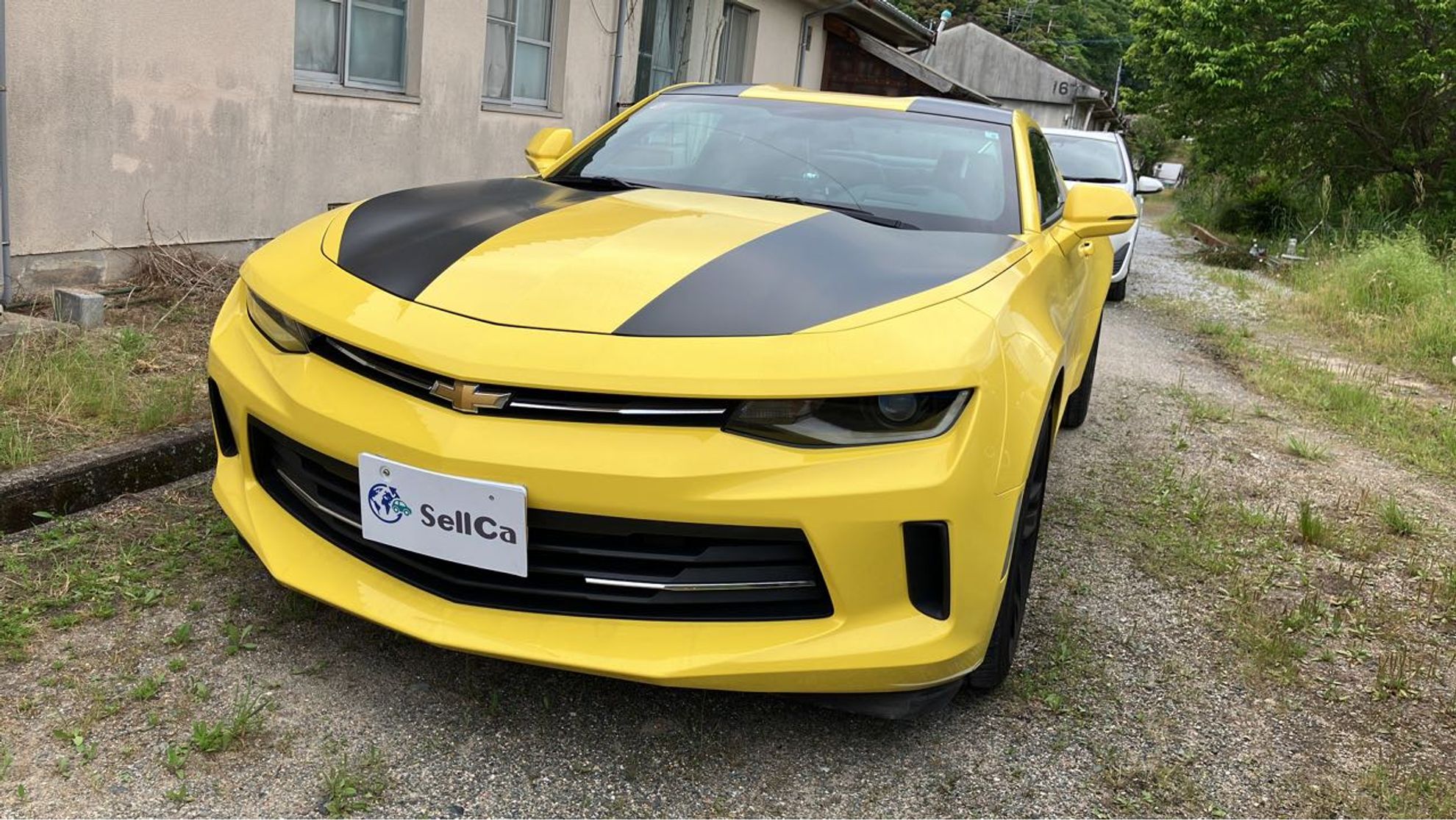 カマロ シボレー 2009年12月〜2017年10月販売終了モデルの新車カタログ中古車情報・中古車検索なら 車選びドットコム