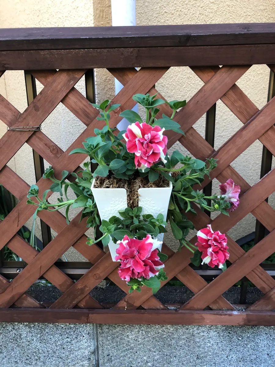 スマホ活用 セリアの１００円折りたたみ木製台 タブレットSpuSpu.jp