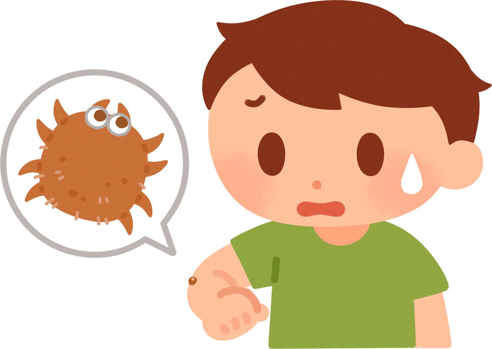 あなたは防虫対策ばっちり？～害虫や防虫剤の特徴を抑えて虫食い被害から衣類を守ろう～十兵衛日記